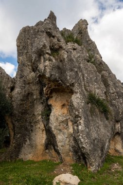 Kışın Lazio, İtalya 'daki Campo Soriano ve zeytin ağaçlarının doğal anısına bakın.