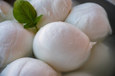 Peynir koleksiyonu, bir sürü taze İtalyan peynirli mozzarella topları, organik peynir çiftliğinde, Latin, İtalya