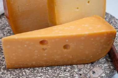 Peynir koleksiyonu, Hollanda 'da inek sütünden yapılmış Hollanda usulü sert peynirler.