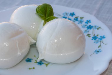 Peynir koleksiyonu, beyaz İtalyan peynirli mozzarella topları zeytin yağı ve taze fesleğen yapraklarıyla servis ediliyor.
