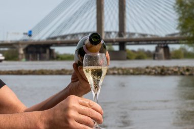 Hollanda, Zaltbommel yakınlarındaki Waal nehrinin karşısındaki Martinus Nijhoff köprüsünde sıfır alkollü şarap ve manzaralı piknik Hollanda 'da sağlıklı bir tatil