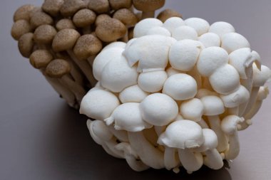 Doğu Asya 'ya özgü beyaz ve kahverengi shimeji mantarları, ona-shimeji yaygın olarak yetiştirilmiş ve umami tatma bileşikleri açısından zengindir.