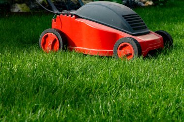 Bahçede mevsimlik bakım işleri, iş başında çim biçme, çim biçme, İngiliz çimenliği, bahçe bakımı.