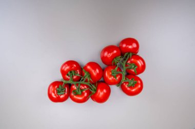 Her mevsim serada yetişen olgun Hollanda domatesleri Hollanda 'da gıda endüstrisi, fotokopi alanını kapatın.