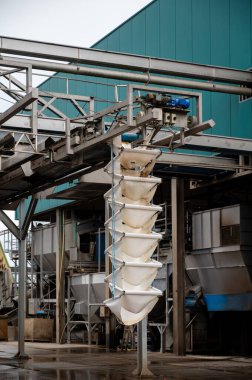 Hollanda 'da hasat, depolama, sıralama, yıkama, kesme, paketleme ve tarımdan sonra taze sebze işleme ekipmanları