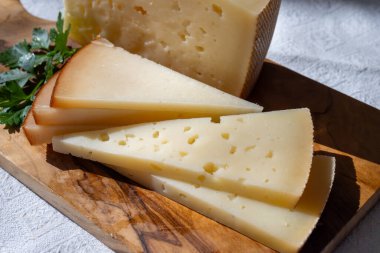 İspanyol sert manchegosu, inek, koyun ve keçi peyniri Yaklaş