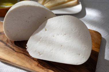 Taze soyulmuş beyaz keçi ineği koyun sütü peyniri, genç İspanyol peyniri, yakın plan.