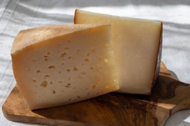 İspanyol sert manchegosu, inek, koyun ve keçi peyniri Yaklaş