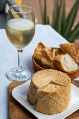 Peynir koleksiyonu, taze tütsülenmiş İspanyol keçi peyniri.