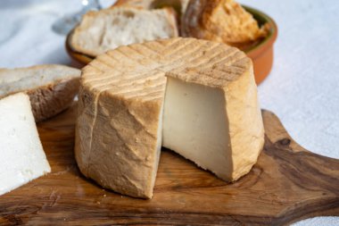 Peynir koleksiyonu, taze tütsülenmiş İspanyol keçi peyniri.