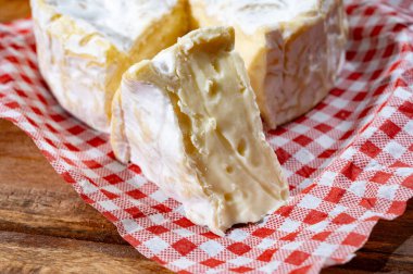 Fransız peyniri, orijinal Camembert de Normandie peyniri, beyaz küfle kaplayın.