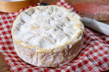 Fransız peyniri, orijinal Camembert de Normandie peyniri, beyaz küfle kaplayın.