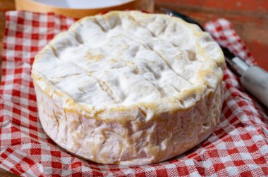 Fransız peyniri, orijinal Camembert de Normandie peyniri, beyaz küfle kaplayın.