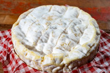 Fransız peyniri, orijinal Camembert de Normandie peyniri, beyaz küfle kaplayın.