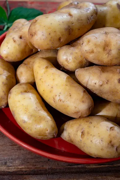 Ratte patates, La Ratte, La Reine Ratte du Touquet, ya da eşsiz fındık aromalı ve tereyağlı dokusuna sahip küçük patatesler.