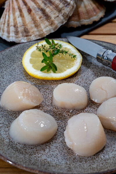 Атлантический залив гребешки Coquille Сент-Джеймс морских раковин, в раковинах и очистке, улова дня в Нормандии или Бретани, Франция на рыбном рынке