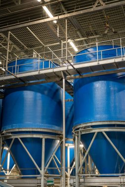 Hollanda 'da hasat, depolama, sıralama, yıkama, kesme, paketleme ve tarımdan sonra taze sebze işleme ekipmanları