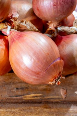 Bunch of french AOP strong pink onions from Roscoff village in Brittany, France clipart