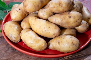 Ratte patates, La Ratte, La Reine Ratte du Touquet, ya da eşsiz fındık aromalı ve tereyağlı dokusuna sahip küçük patatesler.