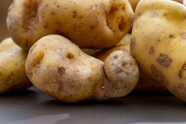 Ratte potato, La Ratte, La Reine Ratte du Touquet, or Asparges small potato with unique nutty flavor and smooth, buttery texture, close up clipart