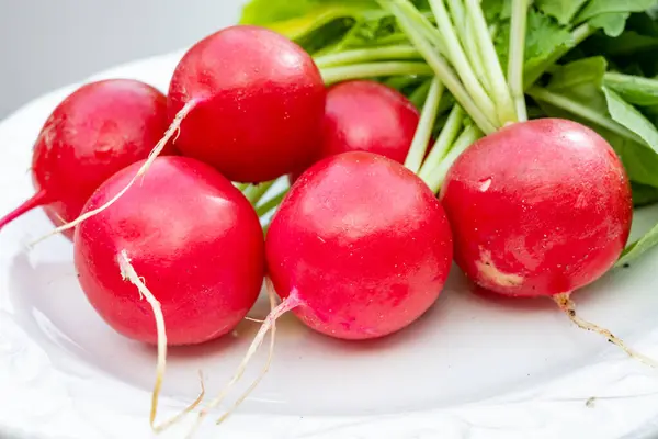 stock image Fresh washed organic red radish roots vegetables ready to eat close up