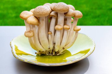 Doğu Asya 'ya özgü beyaz ve kahverengi shimeji mantarları, ona-shimeji yaygın olarak yetiştirilmiş ve umami tatma bileşikleri açısından zengindir.