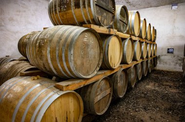 Eski koyu Fransız meşe fıçılarındaki yaşlı konyak ruhları damıtma evindeki soğuk mahzenlerde konyak, beyaz şarap bölgesi Charente, Segonzac, Grand Champagne, Fransa