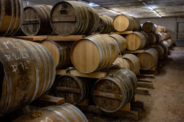 Eski koyu Fransız meşe fıçılarındaki yaşlı konyak ruhları damıtma evindeki soğuk mahzenlerde konyak, beyaz şarap bölgesi Charente, Segonzac, Grand Champagne, Fransa