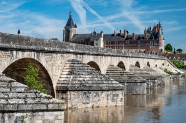 Loire nehri kıyısındaki Gien kasabasının eski bir kısmının manzarası, Loiret departmanı, Fransa, kiremit çatılı evler ve bacalar, kale ve köprü.