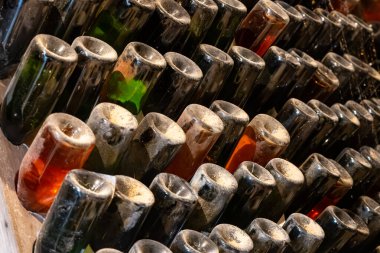 Grand Cru şarap üreticisi Cramant, Champagne, Fransa 'daki eski şampanya mağaralarını ziyaret edeceğiz. Pupitre bulmaca raflarında tozlu şampanya şişeleri