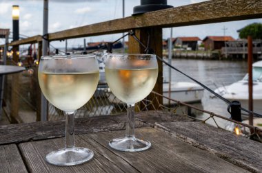 Bordeaux şarabı tatmak, Fransa. Açık hava restoranında bir bardak beyaz Fransız şarabı, Gujan-Mestras 'ta istiridye çiftliği, Arcachon körfezi.