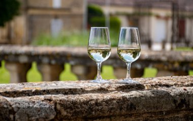 Tasing glasses of white wine in old wine domain on Sauternes vineyards in Barsac village and old castle on background, Bordeaux, France clipart
