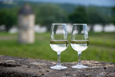 Barsac köyündeki Sauternes üzüm bağlarındaki eski şarap sahasında beyaz şarap bardakları ve arka plandaki eski şato, Bordeaux, Fransa