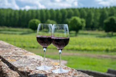 Portets köyündeki Graves üzüm bağlarındaki eski şarap sahasında Fransız şarabı ve arka planda şarap yapan eski şaraplar, Bordeaux, Fransa
