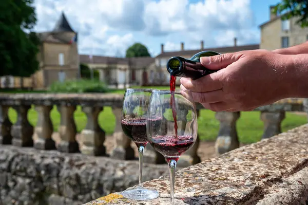 stock image Glasses of french dry red wine in old wine domain on Graves vineyards in Portets village and old wine making castle on background, Bordeaux, France