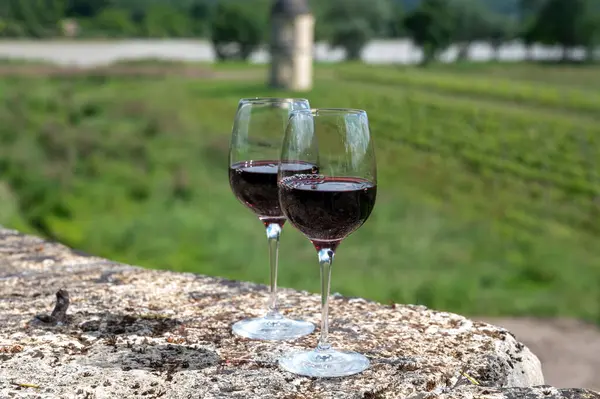 stock image Glasses of french dry red wine in old wine domain on Graves vineyards in Portets village and old wine making castle on background, Bordeaux, France