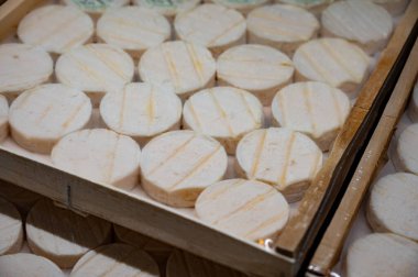 Perigord ve Quercy 'deki çiftlikte üretilen yumuşak kabuklu kauçuk yumuşak keçi peyniri, Fransa' da ayrılan Lot.