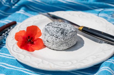 Peynirli piknik, Fransız Cendre Lait cru Chevre Fransa 'da küllü keçi sütünden yapılan siyah peynir