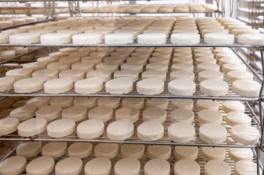Rocamadour yumuşak keçi peyniri, Perigord 'daki çiftlikte üretilen yaşlanma sürecinde yumuşak kabuklu AOC peyniri ve Quercy adını Fransa' nın ayrılan Lot kentindeki Rocamadour köyünden aldı.