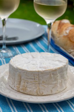 Fransız peyniri ile öğle yemeği, orijinal Camembert de Normandie peyniri, beyaz küfle yakın plan.