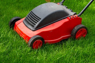 Bahçede mevsimlik bakım işleri, iş başında çim biçme, çim biçme, İngiliz çimenliği, bahçe bakımı.