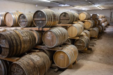 Eski koyu Fransız meşe fıçılarındaki yaşlı konyak ruhları damıtma evindeki soğuk mahzenlerde konyak, beyaz şarap bölgesi Charente, Segonzac, Grand Champagne, Fransa