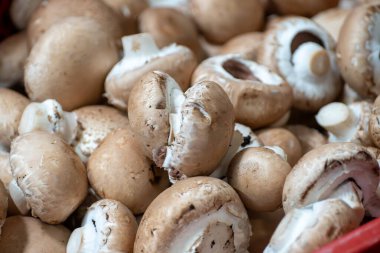 Hollanda 'da organik çiftlikte taze kahverengi şampiyon mantarları, Avrupa' da gıda endüstrisi, şampiyonlarla dolu plastik kutular satışa hazır.