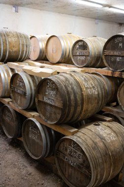 Eski koyu Fransız meşe fıçılarındaki yaşlı konyak ruhları damıtma evindeki soğuk mahzenlerde konyak, beyaz şarap bölgesi Charente, Segonzac, Grand Champagne, Fransa