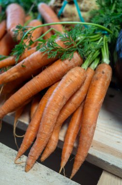 Tahta kutuda yeşil havuçlu taze turuncu havuçlar. Yaklaş.