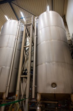 Taze meyve ve böğürtlen işleme ekipmanları, sıralama, meyve suyu, reçel, meyve suyu konsantrasyonu, Hollanda 'da tarım