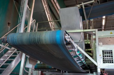 Hollanda 'da hasat, depolama, sıralama, yıkama, kesme, paketleme ve tarımdan sonra taze sebze işleme ekipmanları