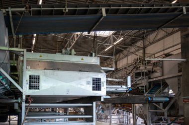 Hollanda 'da hasat, depolama, sıralama, yıkama, kesme, paketleme ve tarımdan sonra taze sebze işleme ekipmanları