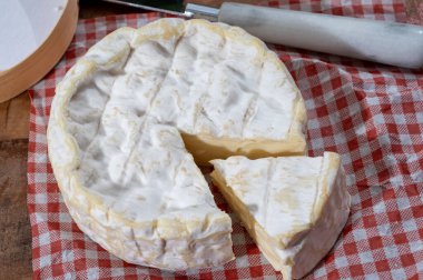 Fransız peyniri, orijinal Camembert de Normandie peyniri, beyaz küfle kaplayın.