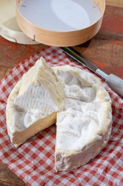 Fransız peyniri, orijinal Camembert de Normandie peyniri, beyaz küfle kaplayın.